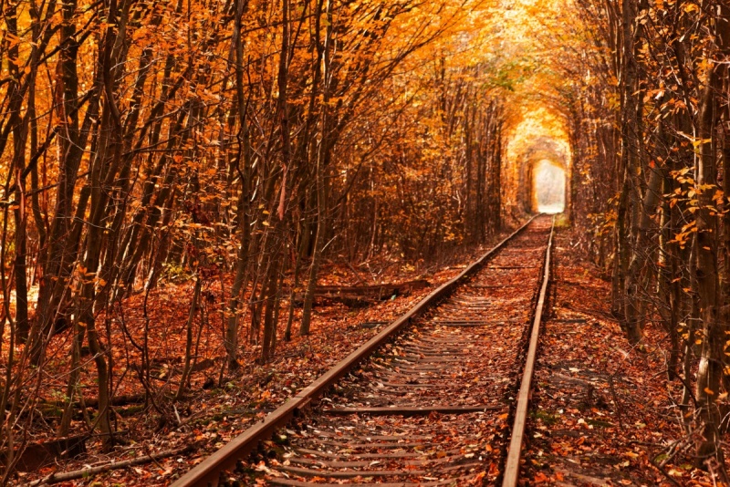 Необычные места Украины - Тоннель любви осенью
