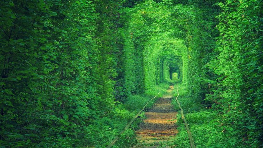 Необычные места Украины - Тоннель любви