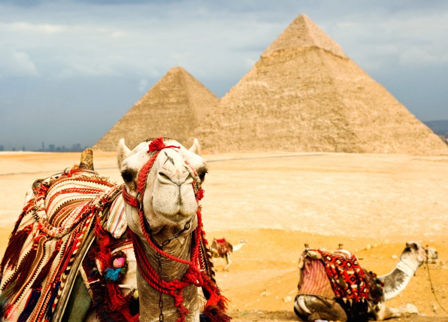 Интересное в Египте