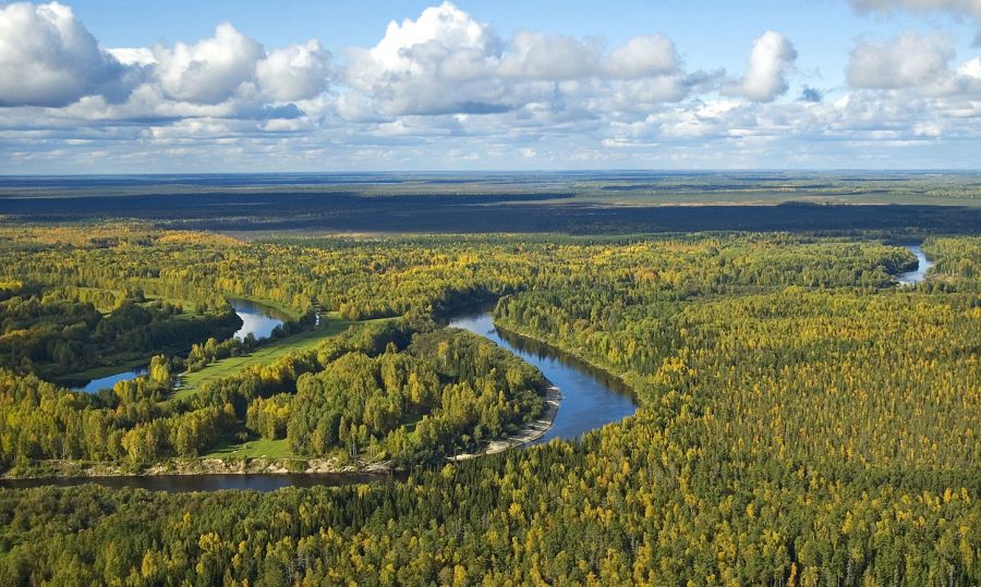вид с высоты на сибирские леса, объекты ЮНЕСКО