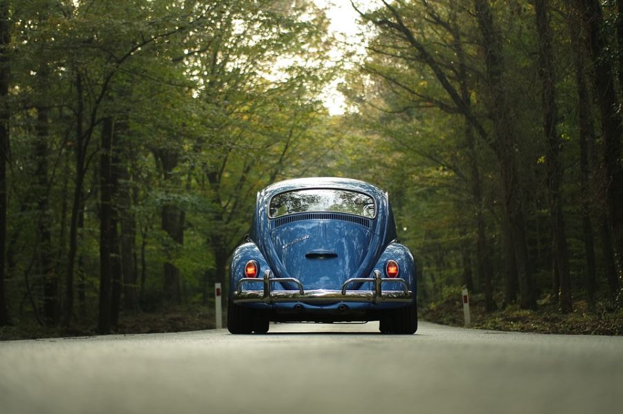 голубая машина едет по трасе через лес, как выжить в лесу