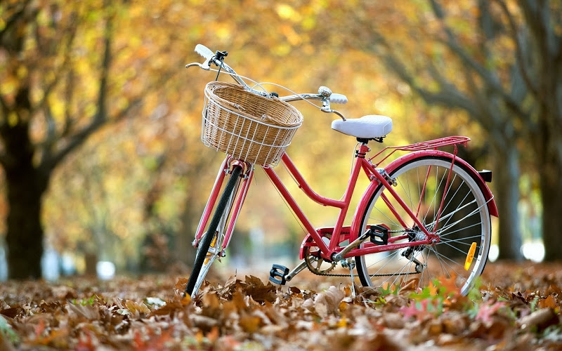 велосипед в парке, интересные места Харькова
