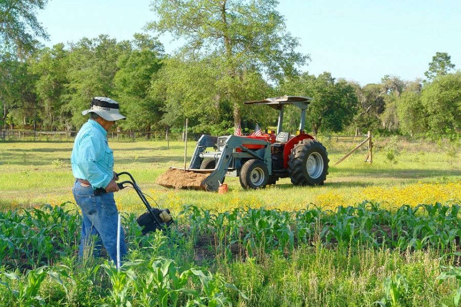фермер косит траву на огороде, что такое дауншифтинг