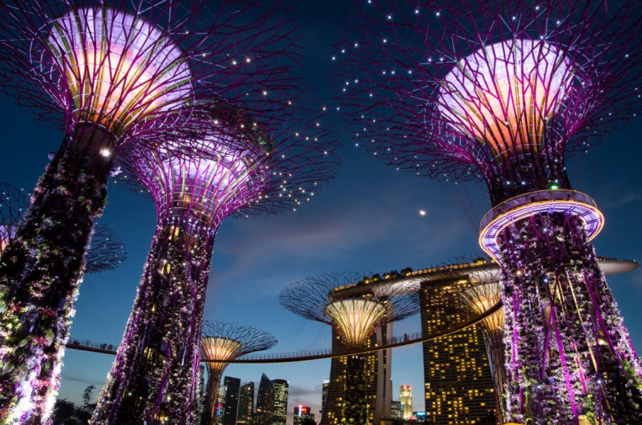 световые деревья в сингапуре, что посмотреть в сингапуре