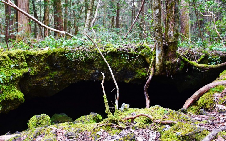 разлом в земле, лес самоубийц аокигахара