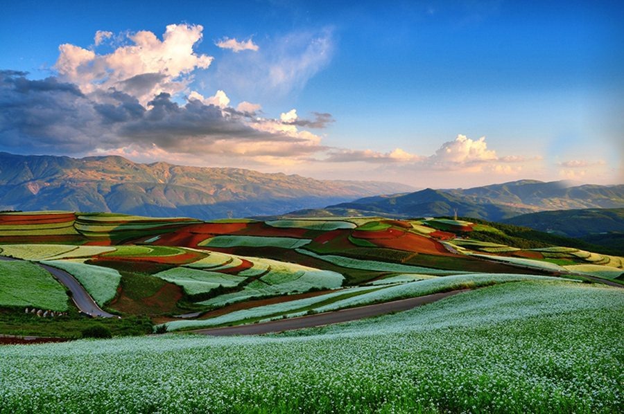 зеленые поля, разноцветные поля, радужные горы