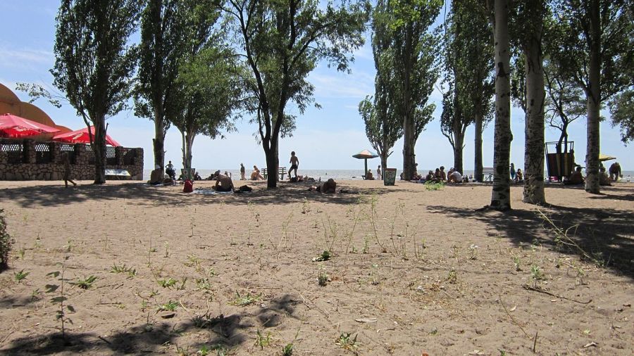 пляж, деревья на пляже, песок, мариуполь, где отдохнуть на азовском море