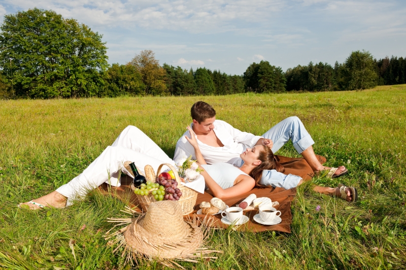 пикник в поле, пара на полне, влюбленные, лужайка, что взять на пикник
