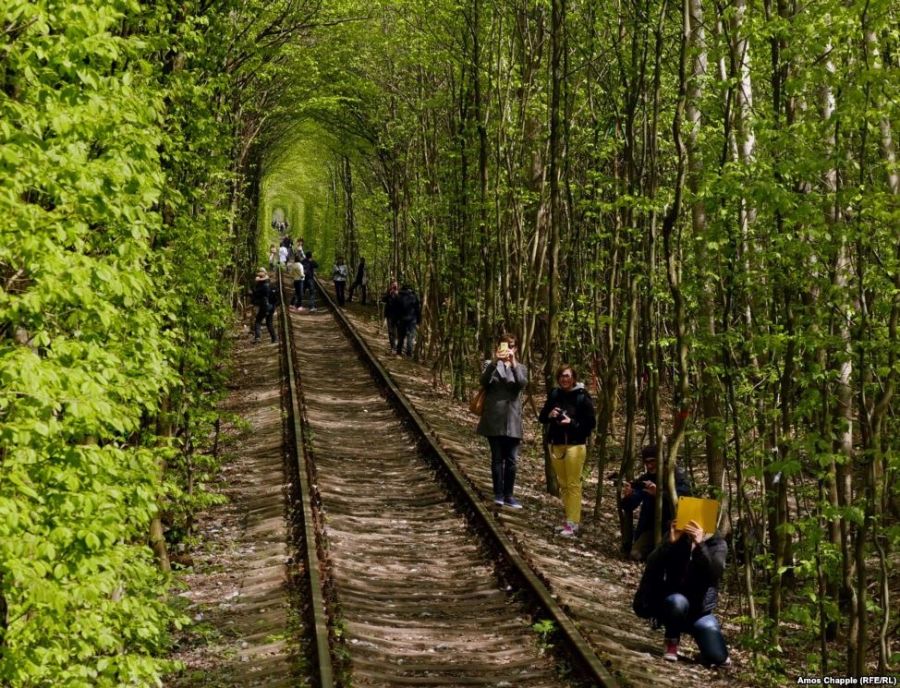 тоннель любви, арка из деревьев, жд, поезд, люди фотографируются