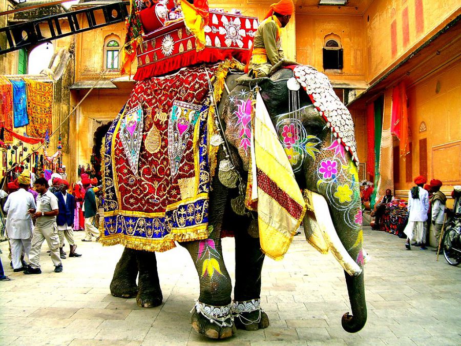 индийский слон, слон в украшениях, путешествие в индию