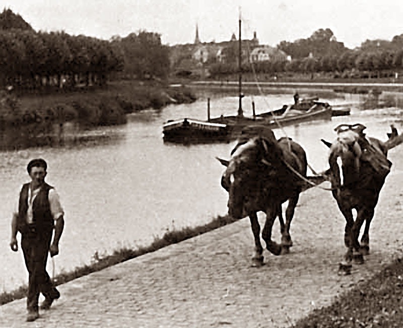 винтажное фото, старое фото, мужчина тянет лодку, лошадиные баржи, конная баржа