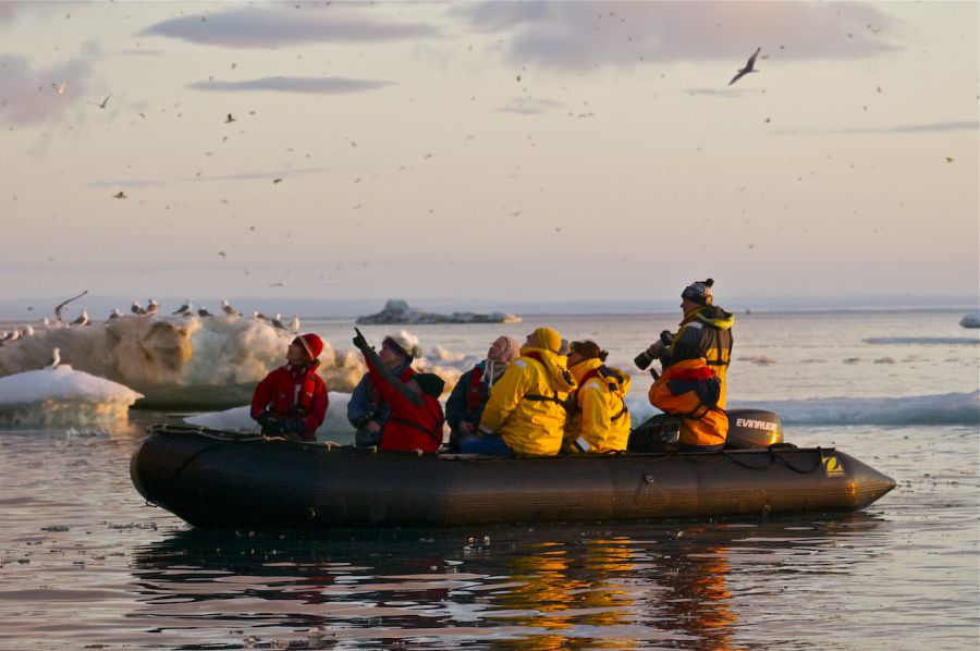 люди в лодке, наблюдение за птицами, натуралисты, арктическое море, арктические воды, остров врангеля