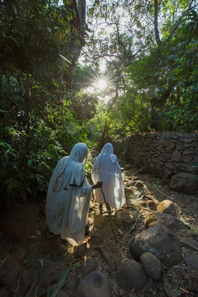 священные рощи в эфиопии, церковь на озере, церковь на острове, православная церковь в эфиопии, люди в лесу